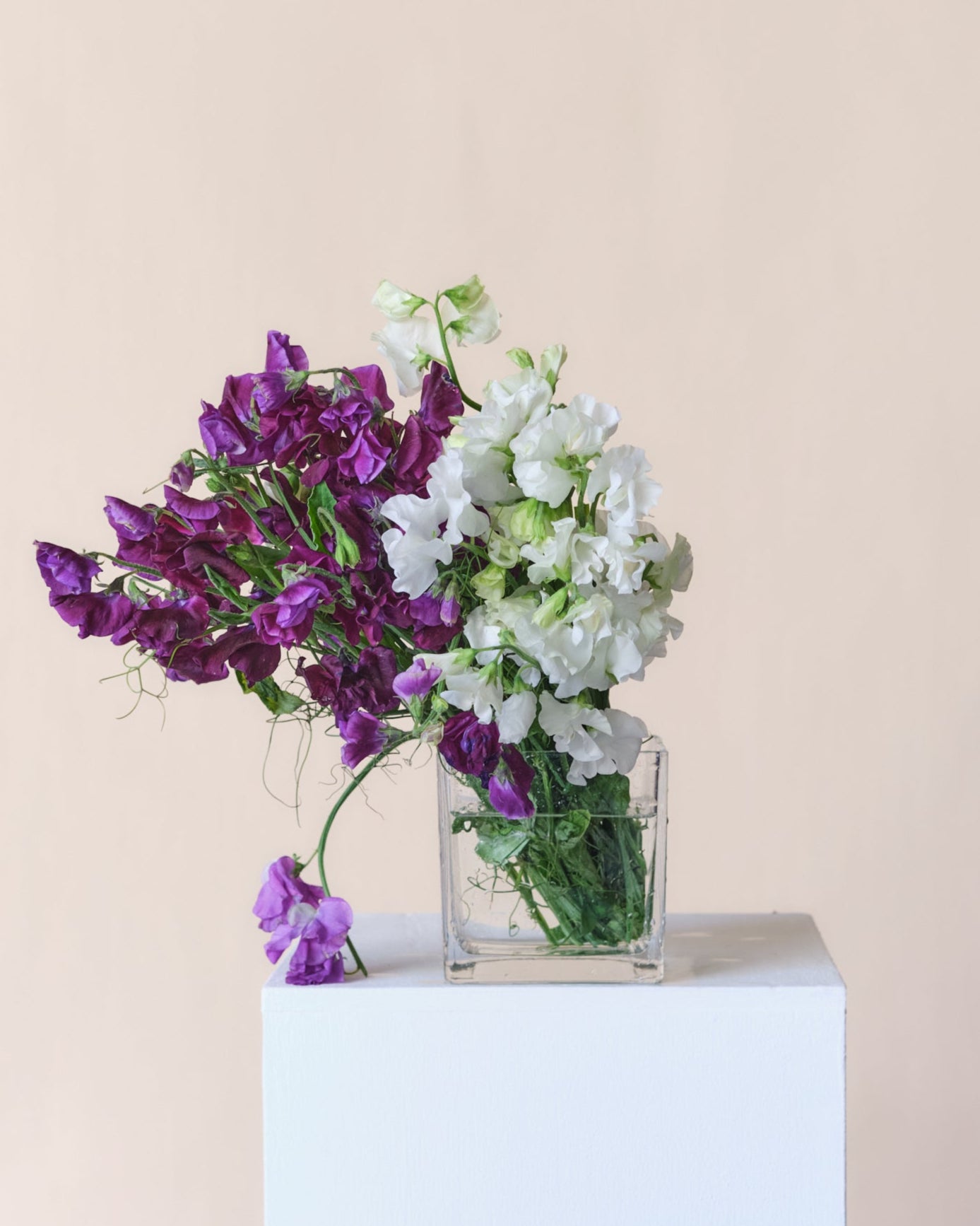 Northern Rivers wedding florist – floral arrangement by House of Arum